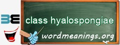 WordMeaning blackboard for class hyalospongiae